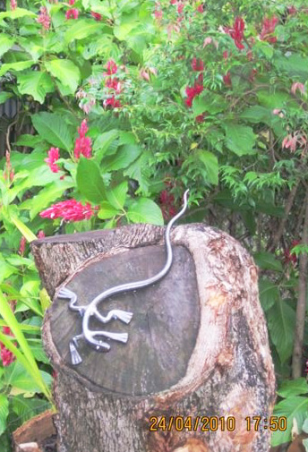 Margs Lizard